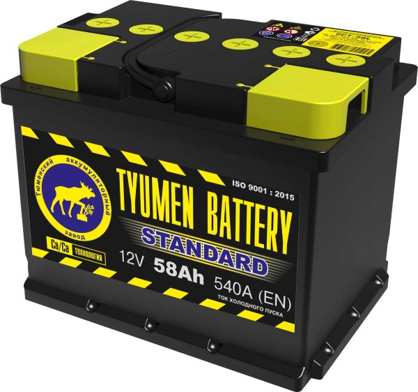 58 о.п. Tyumen Battery “STANDARD” 540А (242*175*175) под заказ